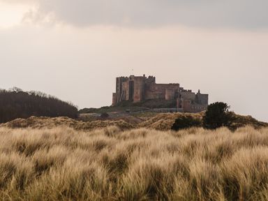 A castle on a hill with grass and trees in the foreground at Armstrong Cottages No30 in Bamburgh