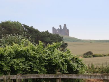 A landscape with green shrubs trees and a ruined castle in the background at Beachward in Embleton