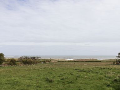 A grassy field with bushes and trees near the ocean at Beachward in Embleton