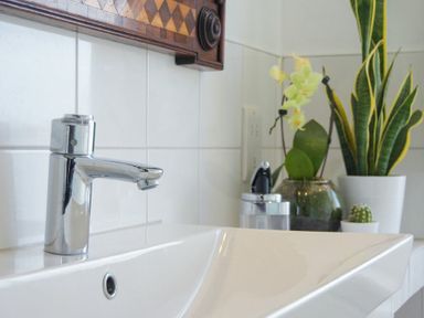 A bathroom sink with a chrome faucet and potted plants on the countertop at Estuary View in Alnmouth