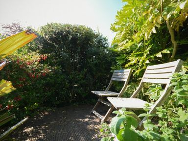 Two wooden chairs surrounded by green plants and bushes in an outdoor garden at Estuary View in Alnmouth