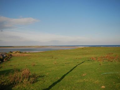 A green field with some shrubs near a body of water under a blue sky at Lapwing Cottage in Bamburgh