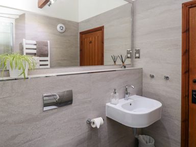A bathroom with a sink soap dispenser toilet paper holder and a plant on the counter at Lapwing Cottage Bamburgh