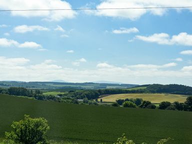 A landscape with fields trees and hills under a blue sky at Budle Sands Bamburgh