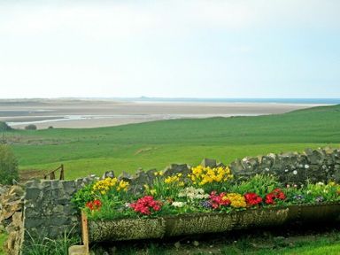 A stone wall with a flower bed in front overlooking green fields and a sandy beach at Budle Sands in Bamburgh