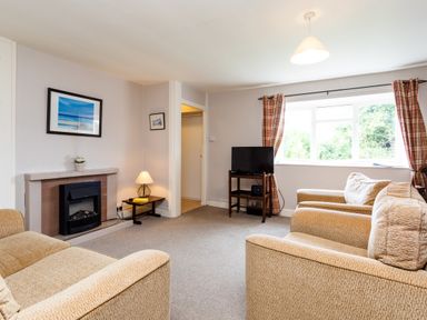 A living room with two armchairs a fireplace a lamp a TV on a stand and a window with curtains at Bilton Farm Cottage No2 in Alnmouth
