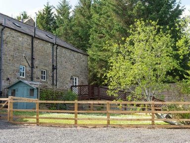 A stone building with a small blue shed a wooden fence and a tree outside at The Bolthole in Eglingham
