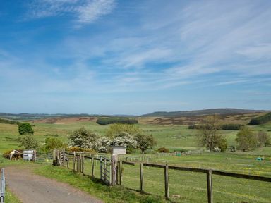 A rural landscape with fenced fields trees and distant hills at The Bolthole in Eglingham