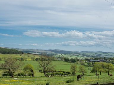 A rural landscape with green fields trees and grazing horses at The Bolthole in Eglingham