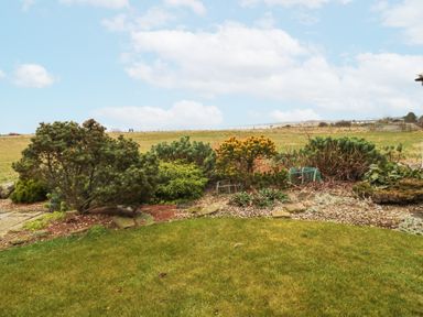 A garden with green grass shrubs and fields in the background at Beach View in Seahouses