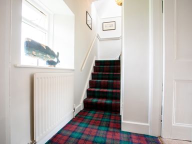 A staircase with patterned carpet and a window with whale decorations at Begonia House in Alnmouth