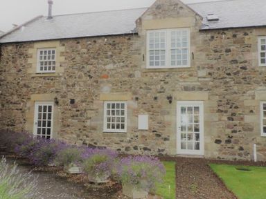 Stone exterior of a building with multiple white framed windows and doors surrounded by lavender plants at Budle Granary Bamburgh