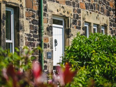 A stone building with a white door and windows partially hidden by green bushes at Elliot Cottage in Bamburgh