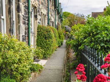 A stone cottage with a path along the front and various green bushes and red flowers at Elliot Cottage in Bamburgh