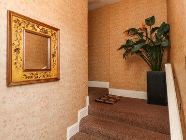 A stairway with brown carpet a decorative mirror on the wall and a large plant in a black pot at Glebe House in Bamburgh