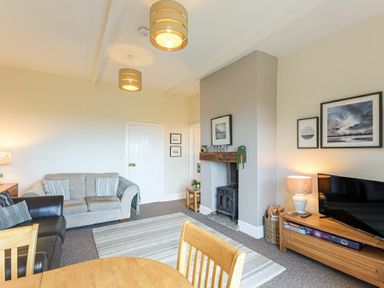 A living room with two sofas a wood burning stove and a television at Bellshill Cottage in Belford
