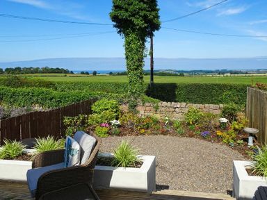 An outdoor garden area with a chair and plants overlooking fields and a tree covered in ivy at Bellshill Cottage in Belford