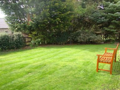 A garden area with green grass trees and a wooden bench at Briar Cottage in Town Yetholm and Kirk Yetholm