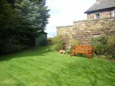 A grassy garden with a wooden bench a small shed and a stone wall at Briar Cottage in Town Yetholm and Kirk Yetholm
