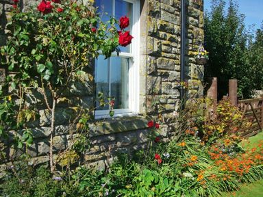A stone wall with a window surrounded by red roses and various flowers by a garden at Briar Cottage in Town Yetholm and Kirk Yetholm