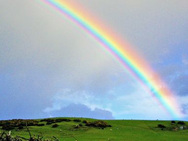 A green field with scattered bushes and sheep under a sky with a rainbow at Briar Cottage in Town Yetholm and Kirk Yetholm