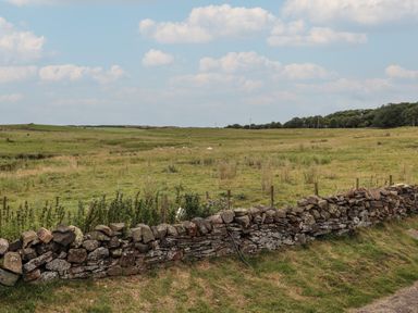 A stone wall with wire fence in front of a grassy field with sheep under a partly cloudy sky at Budle Bay Cottage in Bamburgh