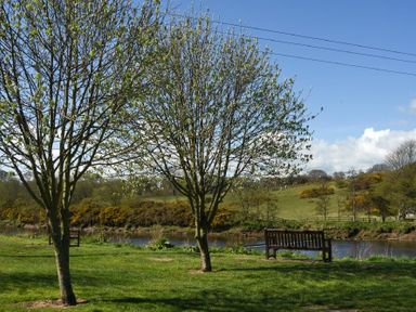 A riverside park area with two trees and wooden benches overlooking a river at Coquet Cottage Warkworth