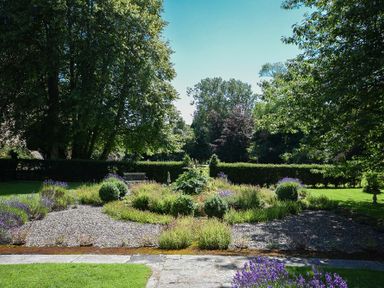 A garden with gravel paths and bushes surrounded by large trees and hedges at Craster Tower Coach House in Craster