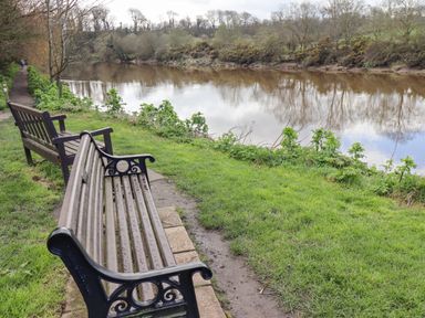 Two benches beside a river with a grassy bank and trees along a path at Dray Cottage in Warkworth