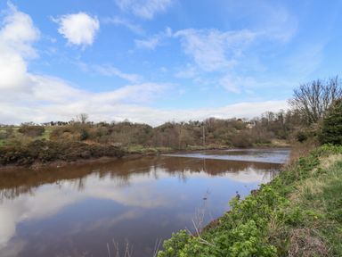 A river surrounded by bushes and trees under a blue sky at Dray Cottage in Warkworth
