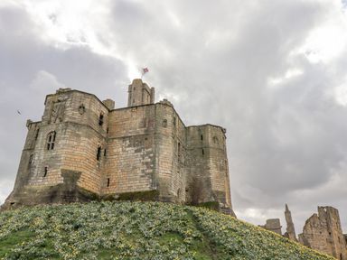 A stone castle with a flag on top surrounded by a grassy hill with yellow flowers