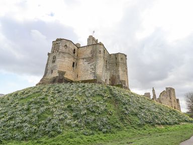 A historic stone castle on a grassy hill with flowers and a cloudy sky