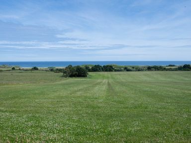 A wide green grassy field with trees and the sea in the distance at Fidra in Embleton