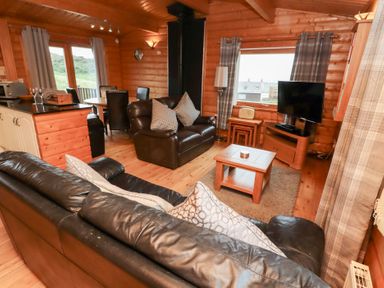 A living room with a sofa and a TV at Heather Cottages - Brown Owl in Bamburgh