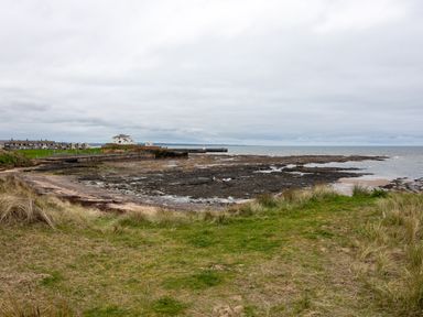 A rocky coastline with grass in the foreground and houses near the shore at Island View in Amble