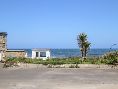 A small white building and plants with the sea in the background at Island View in Amble