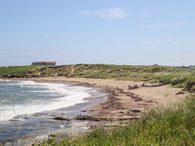 A sandy beach with waves and grassy dunes with houses in the background at Island View in Amble