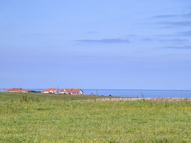 A grassy field with wildflowers and houses with orange roofs near the sea at Island View in Amble