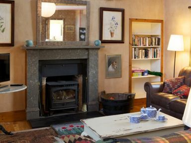 A living room with a fireplace a bookshelf a leather sofa and a coffee table with a tea set at Kirknowe in Jedburgh