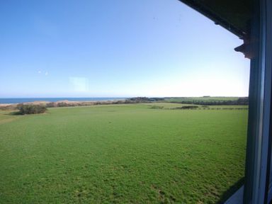 A green field with hedges and trees near the coastline seen from a window at Longstone in Embleton