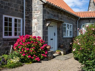 A stone house exterior with white doors and windows surrounded by flower bushes at Mid Cote Shoreston near Bamburgh