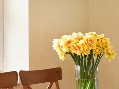 A bouquet of yellow flowers in a glass vase next to wooden chairs in a room at Ottoline Cottage in Embleton