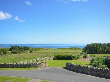 A coastal landscape with grassy fields trees stone walls and a road at Ottoline Cottage in Embleton