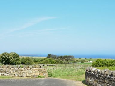 A stone wall with green fields and trees beyond overlooking the ocean at Ottoline Cottage in Embleton