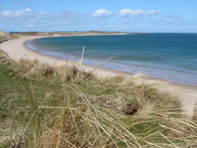 A coastal landscape with sandy beach and sea viewed through grass at Ottoline Cottage in Embleton