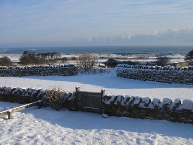 A snowy yard with stone walls and a wooden gate overlooking the ocean at Ottoline Cottage in Embleton