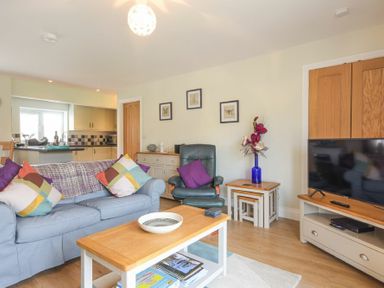 A living room with a blue sofa and colorful pillows a coffee table a green armchair framed pictures on the wall and a television at Schooner Court No1 in Alnmouth