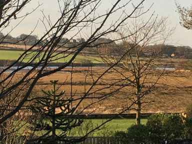 A landscape with bare trees green fields and a water body in the background at Schooner Court No1 in Alnmouth