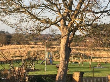 A playground with swings slides and a merry go round surrounded by grass and trees at Schooner Court No1 in Alnmouth