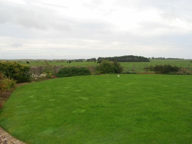 A lawn with bushes and a stone wall in the background at Sea Breeze in Newton-by-the-Sea